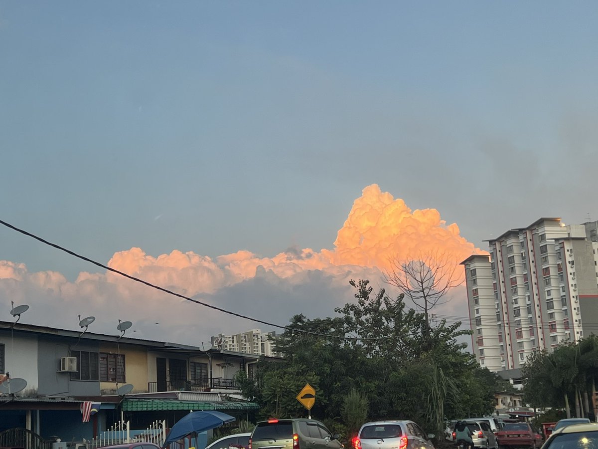 妮妮🎀 tweet media