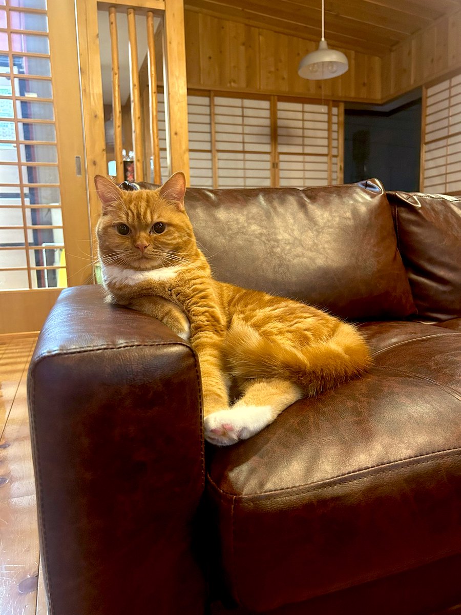 うちの社長　すーちゃん