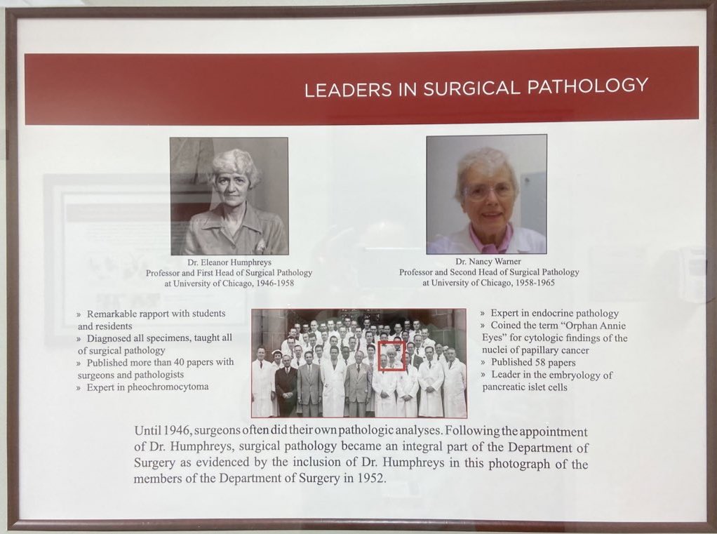 University of Chicago Pathology (@uchicagopath) on Twitter photo 1st Director of Surgical Pathology <a href="/UChicagoPath/">University of Chicago Pathology</a> - Eleanor Humphreys signed out all surg path specimens by herself for 12 yrs.
2nd Director - Nancy Warner coined the term "Orphan Annie eyes" among other many achievements 1st Director of Surgical Pathology <a href="/UChicagoPath/">University of Chicago Pathology</a> - Eleanor Humphreys signed out all surg path specimens by herself for 12 yrs.
2nd Director - Nancy Warner coined the term "Orphan Annie eyes" among other many achievements