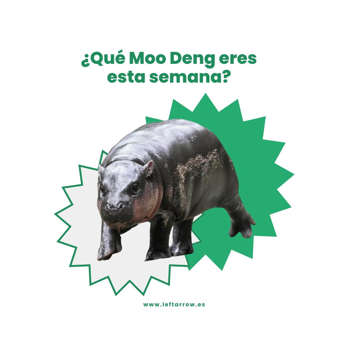 LeftArrowB2B's tweet photo. Seguro que estos días tú también has visto alguno de los vídeos de #MooDeng, esta cría de hipopótamo tan expresiva. Confiesa: ¿cuál eres tú esperando el finde, del 1 al 9? 🦛

En LeftArrow, somos el 4️⃣ cuando llegan las 15h del viernes 😜

#agencia #marketingonline #marketingb2b https://t.co/W0LajtURBA