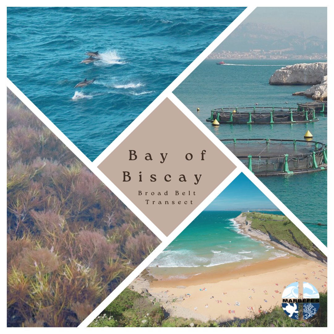 MARBEFES (@marbefes) on Twitter photo Our next BBT is the Bay of Biscay, located in coastal northern Spain.
🔬Environmental Hydraulic Institute of the University of Cantabria - <a href="/IHCantabria/">IHCantabria</a> is the leading partner in testing such tools in the Bay of Biscay BBT.
#marineconservation #marinebiology Our next BBT is the Bay of Biscay, located in coastal northern Spain.
🔬Environmental Hydraulic Institute of the University of Cantabria - <a href="/IHCantabria/">IHCantabria</a> is the leading partner in testing such tools in the Bay of Biscay BBT.
#marineconservation #marinebiology