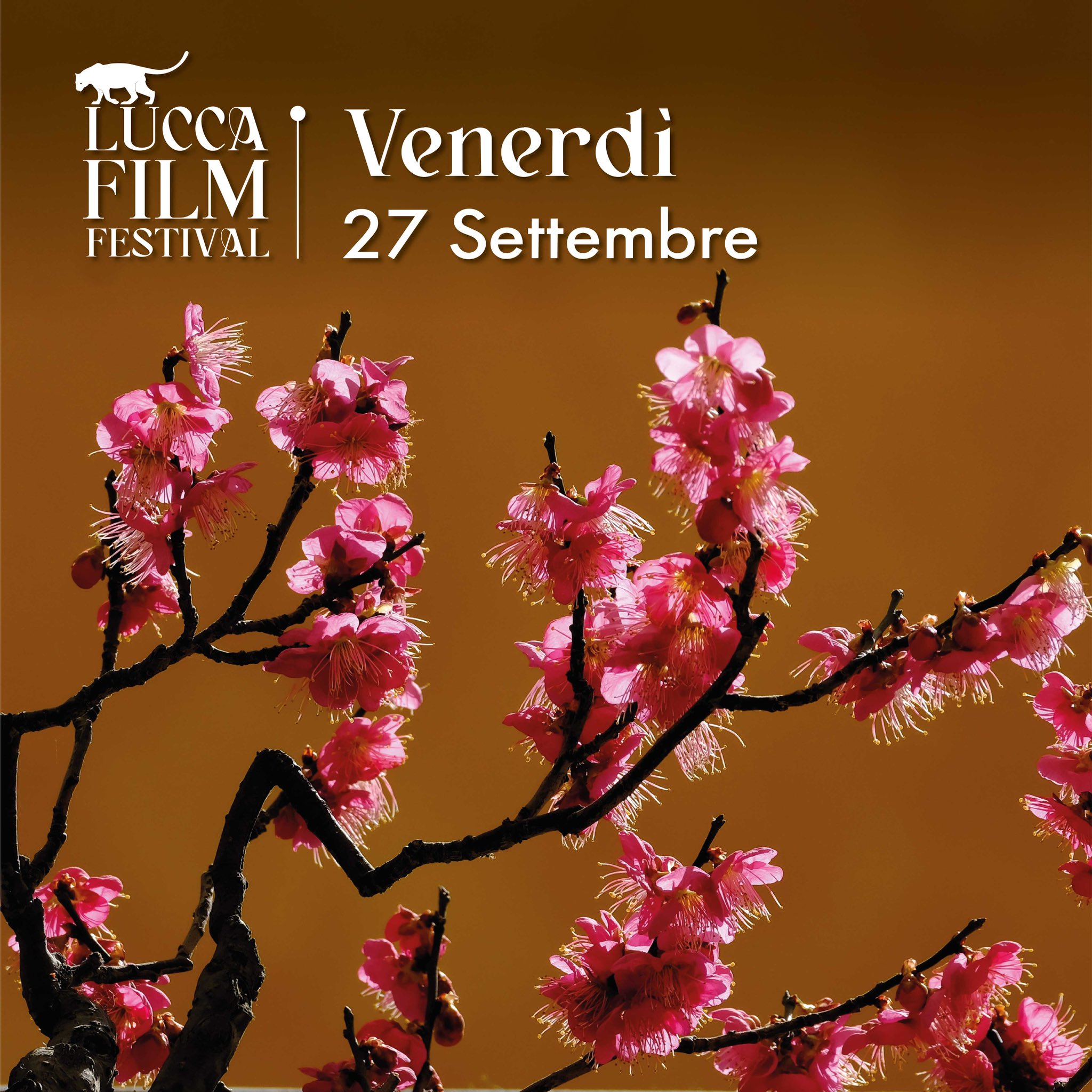 Lucca Film Festival on X: 🚀Eventi e incontri di oggi al LFF24!  t.cof6lBqVwlpY t.coQWrjXUQoE4  X