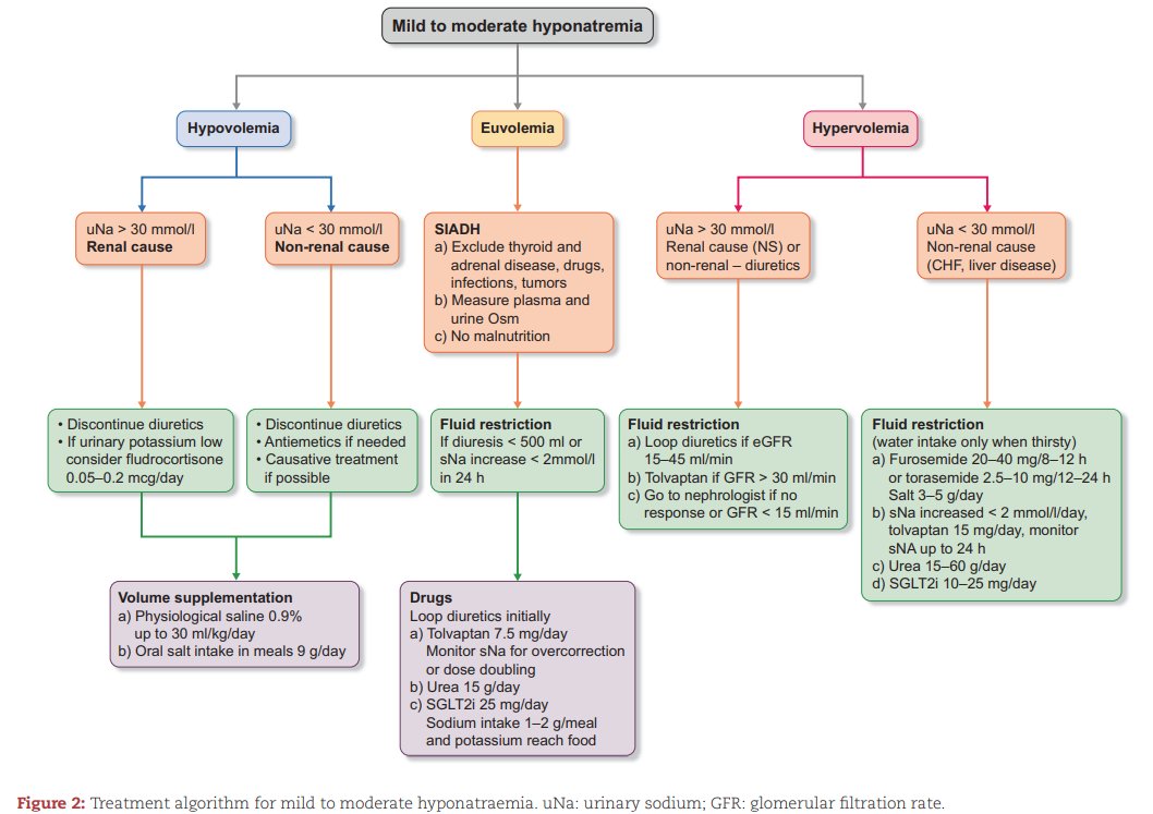 🤩The October issue is out!
📖academic.oup.com/ndt/issue/39/10

👍Editor's choice:
Hyponatraemia—treatment standard 2024
🆓doi.org/10.1093/ndt/gf…