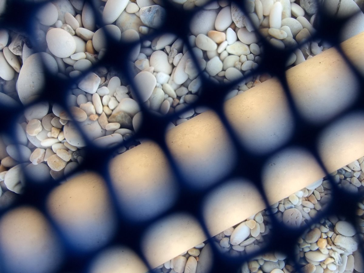 Proof that my camera takes better photos than I do...accidental pic of the day. Listening to shells &amp; tiny white stones making spells that only those who have stopped can hear. <a href="/AnnaSaund1/">Anna Saunders</a> <a href="/chrys_salt/">Chrys Salt</a> @DeborahEHarvey @Poet4theSilent  @IndigoDreamsPub <a href="/strokingtheair/">Eileen Carney Hulme</a> #pepitos