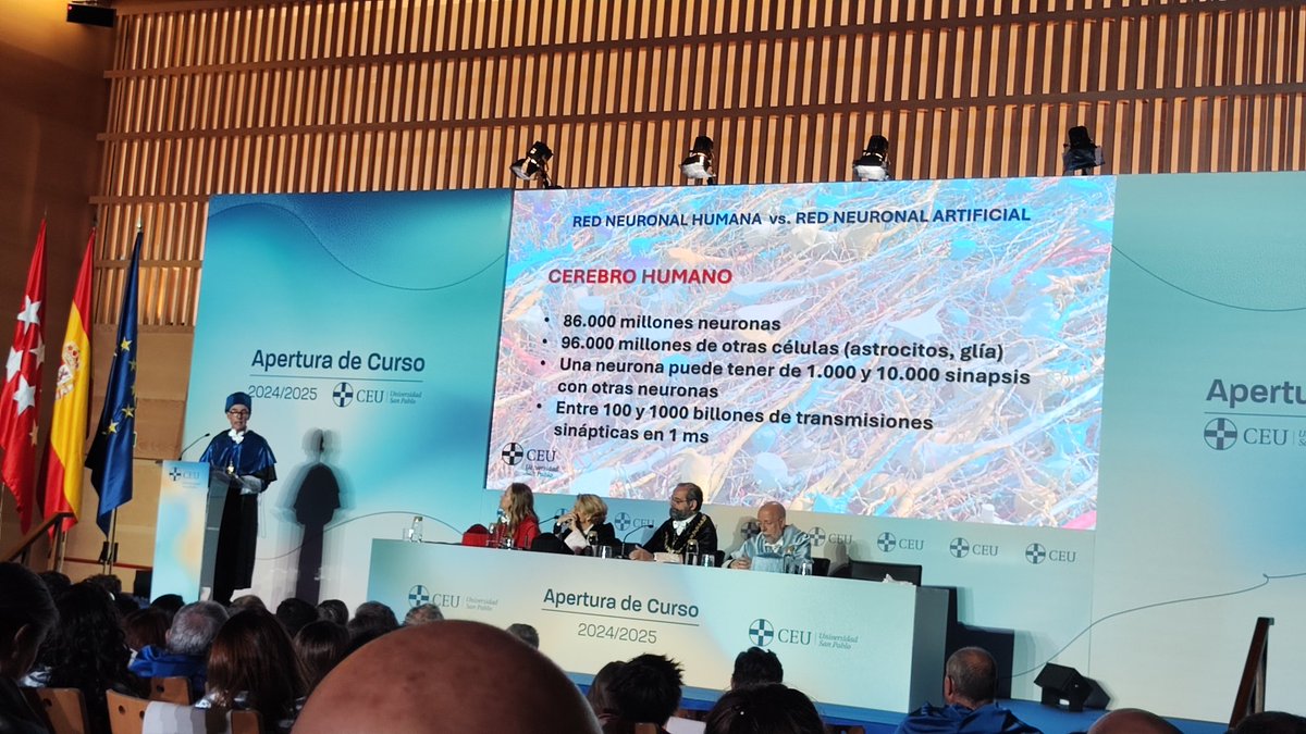 Fernanda Rey-Stolle tweet media