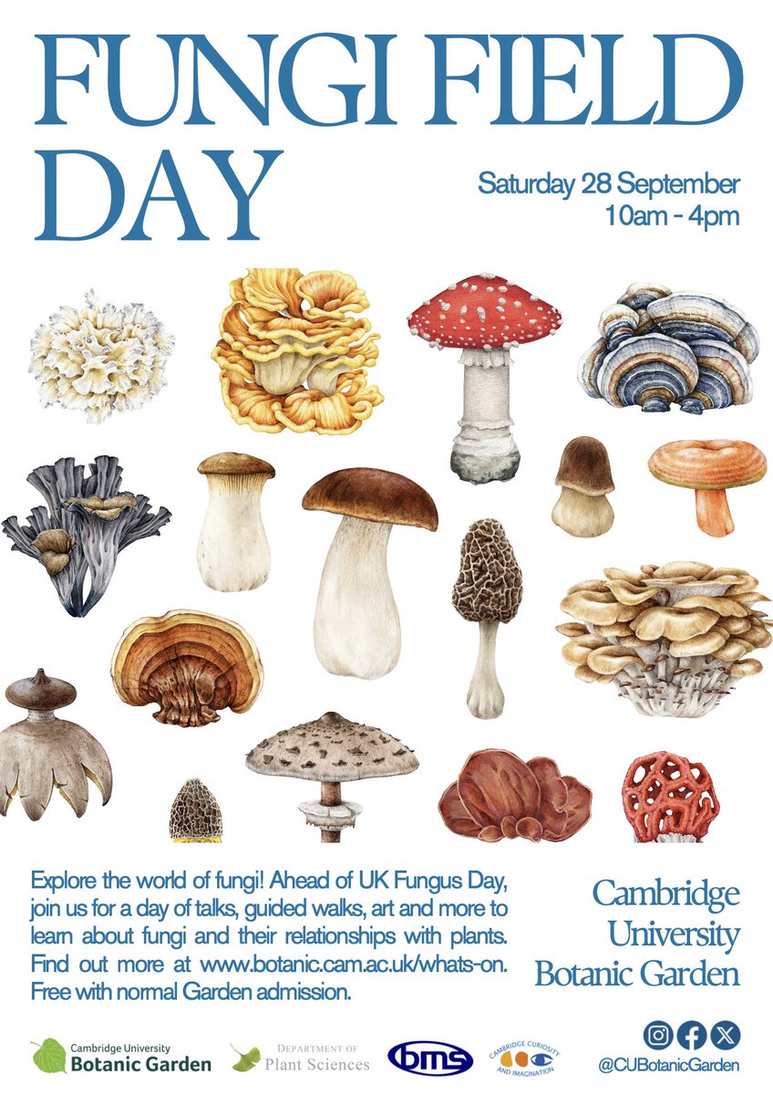 Leonie Luginbuehl (@l_luginbuehl) on Twitter photo Join us <a href="/CUBotanicGarden/">Cam Botanic Garden</a> for the Fungi Field Day tomorrow! My group will be giving a talk about our research on the rules of trade in plant-fungal symbioses at 1.30pm, and there are lots of other fun(gi) activities and things to see! Join us <a href="/CUBotanicGarden/">Cam Botanic Garden</a> for the Fungi Field Day tomorrow! My group will be giving a talk about our research on the rules of trade in plant-fungal symbioses at 1.30pm, and there are lots of other fun(gi) activities and things to see!