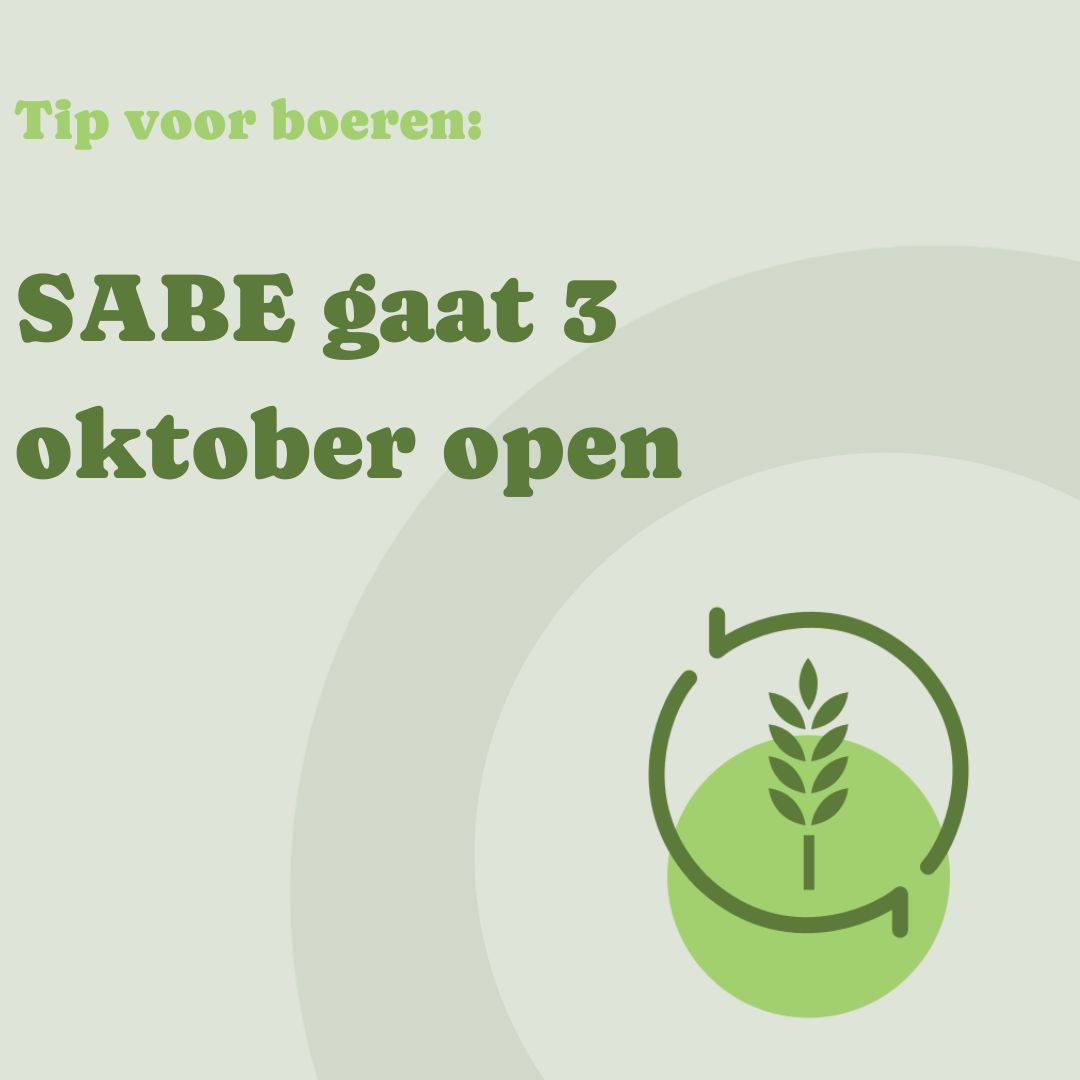 𝗧𝗶𝗽 𝘃𝗼𝗼𝗿 𝗯𝗼𝗲𝗿𝗲𝗻: 𝗦𝗔𝗕𝗘 𝗴𝗮𝗮𝘁 𝘃𝗼𝗹𝗴𝗲𝗻𝗱𝗲 𝘄𝗲𝗲𝗸 𝗼𝗽𝗲𝗻. Je kunt je van 3 oktober tot en met 14 november 2024 aanmelden als demonstratiebedrijf of als praktijkleernetwerk via RVO. #vitaalplatteland #duurzamelandbouw #subsidie #samenleren