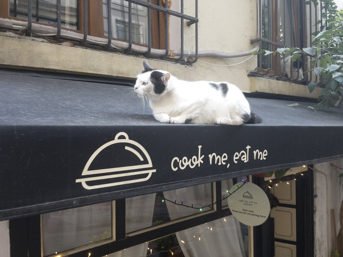 MacKenzie Shirk tweet media