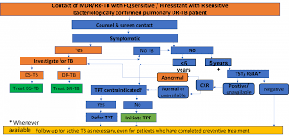 BorneWater's tweet photo. Home screening key to tracking TB cases early...  
Submit your paper at: https://t.co/VHeEmWy2kG
Read more: https://t.co/IsWTj4mjb5 #awbd #Cholera #PathologySanitary #Engineering #Taeniasis #Tuberculosis #Vaccinology #manuscript #Researchpaper #Japan https://t.co/gyvf1D2bRL