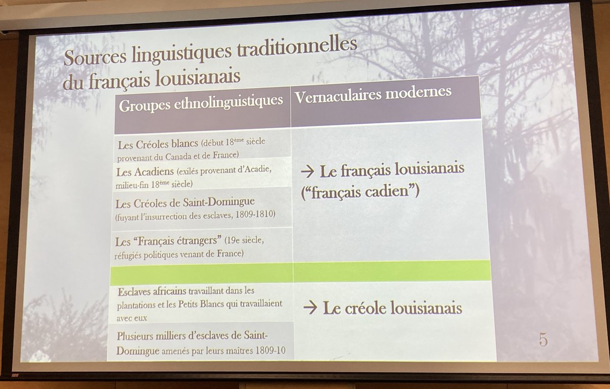 Kevin Rottet, un de nos conférencier.es invité.es fait un travail remarquable sur les variétés louisianaises