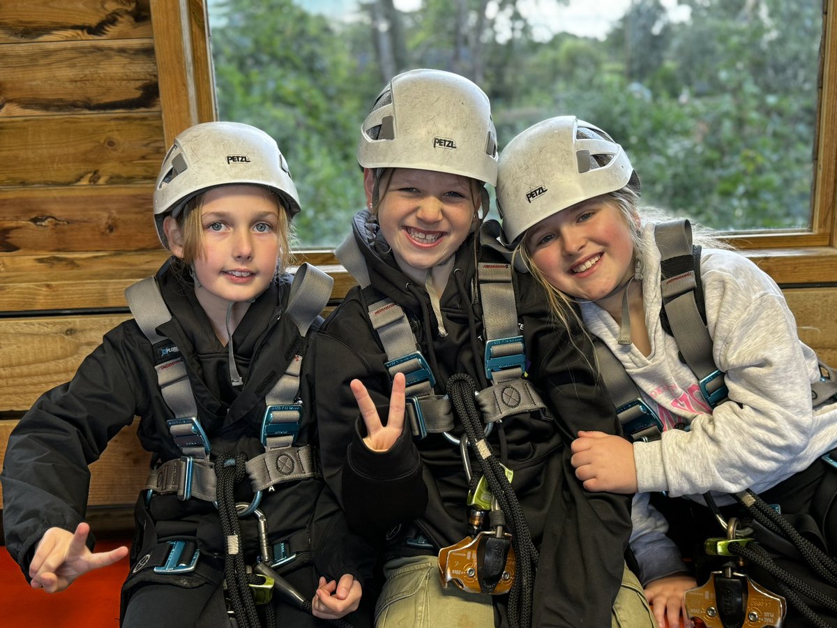 Year 6 TSP tweet media