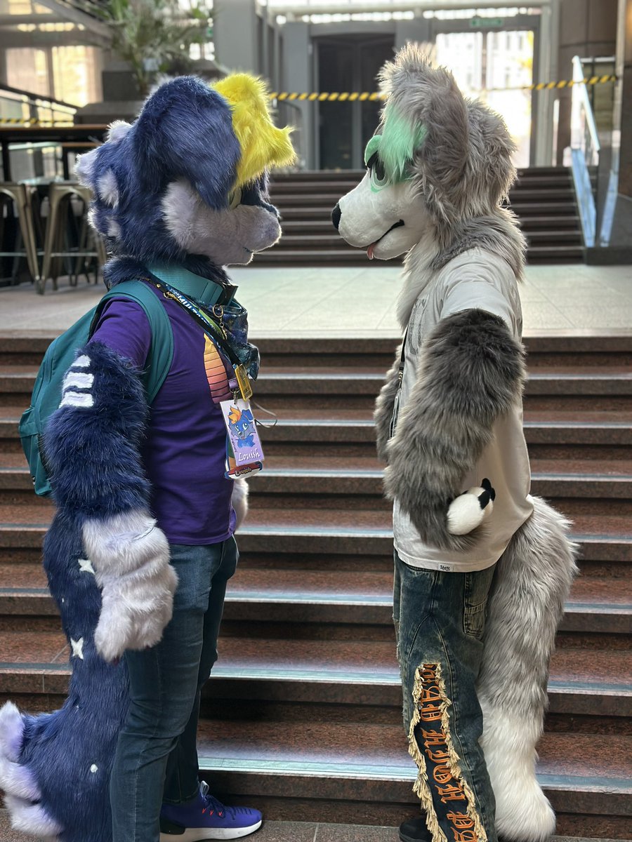 Louish (@skycharger98) on Twitter photo Moments before the inevitable borking:
Featuring <a href="/Brewski_Vr/">Brewski</a>
📸: <a href="/MaxFilmsVR/">MaxFilmsVR</a>
🧵: <a href="/DaringDuckDSNS/">Daring Duck Designs</a>
#FursuitFriday Moments before the inevitable borking:
Featuring <a href="/Brewski_Vr/">Brewski</a>
📸: <a href="/MaxFilmsVR/">MaxFilmsVR</a>
🧵: <a href="/DaringDuckDSNS/">Daring Duck Designs</a>
#FursuitFriday