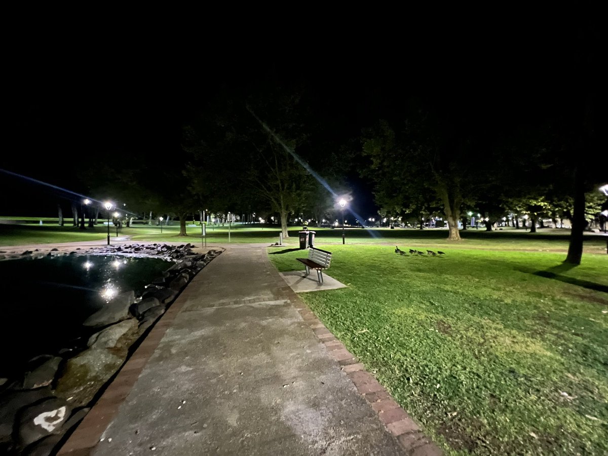 wapple15's tweet photo. A Friday night #DuckReport &amp; #GooseReport  from #Tamworth #NSW  🦆🦆🦆🦆🦆🦆🦆🦆🦆🦆🦆 🪿🪿 https://t.co/BJbmIqRs5b