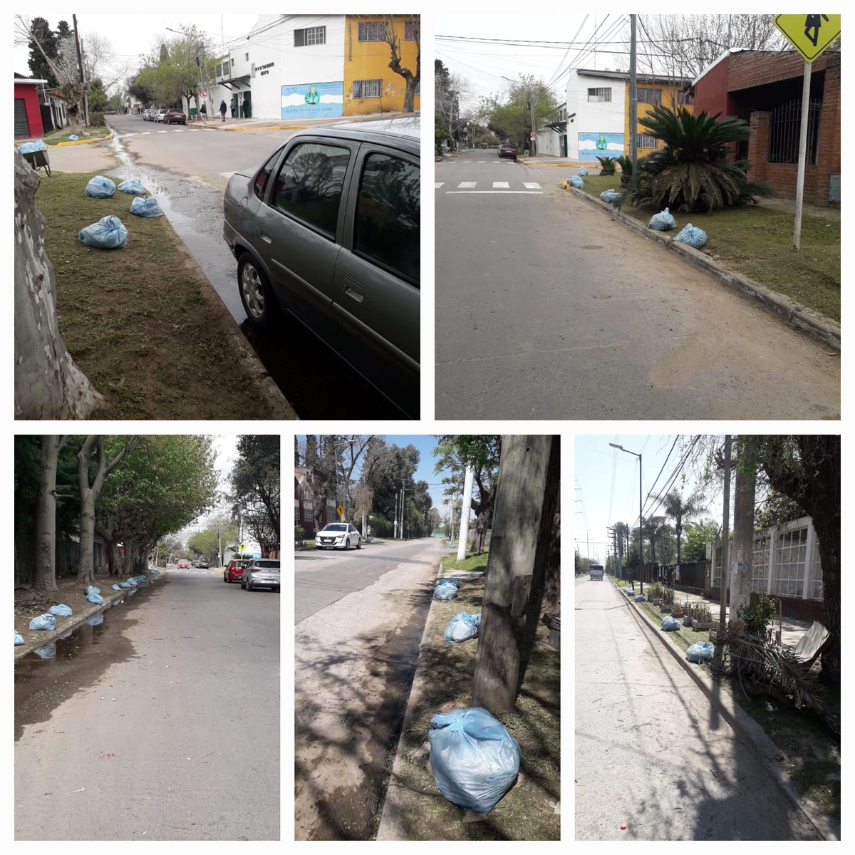 MariaaAlbornozz's tweet photo. Continuamos colaborando con las Instituciones Educativas de la Zona! Corte y Limpieza  de EP25, Jardín 910 y Jardín 923. Con sus calles correspondientes. Siempre Cerca. #zona24😊
@jaimemendezh 
@NigroFrancisco 
@SabiiiLop https://t.co/FPf2p440mk