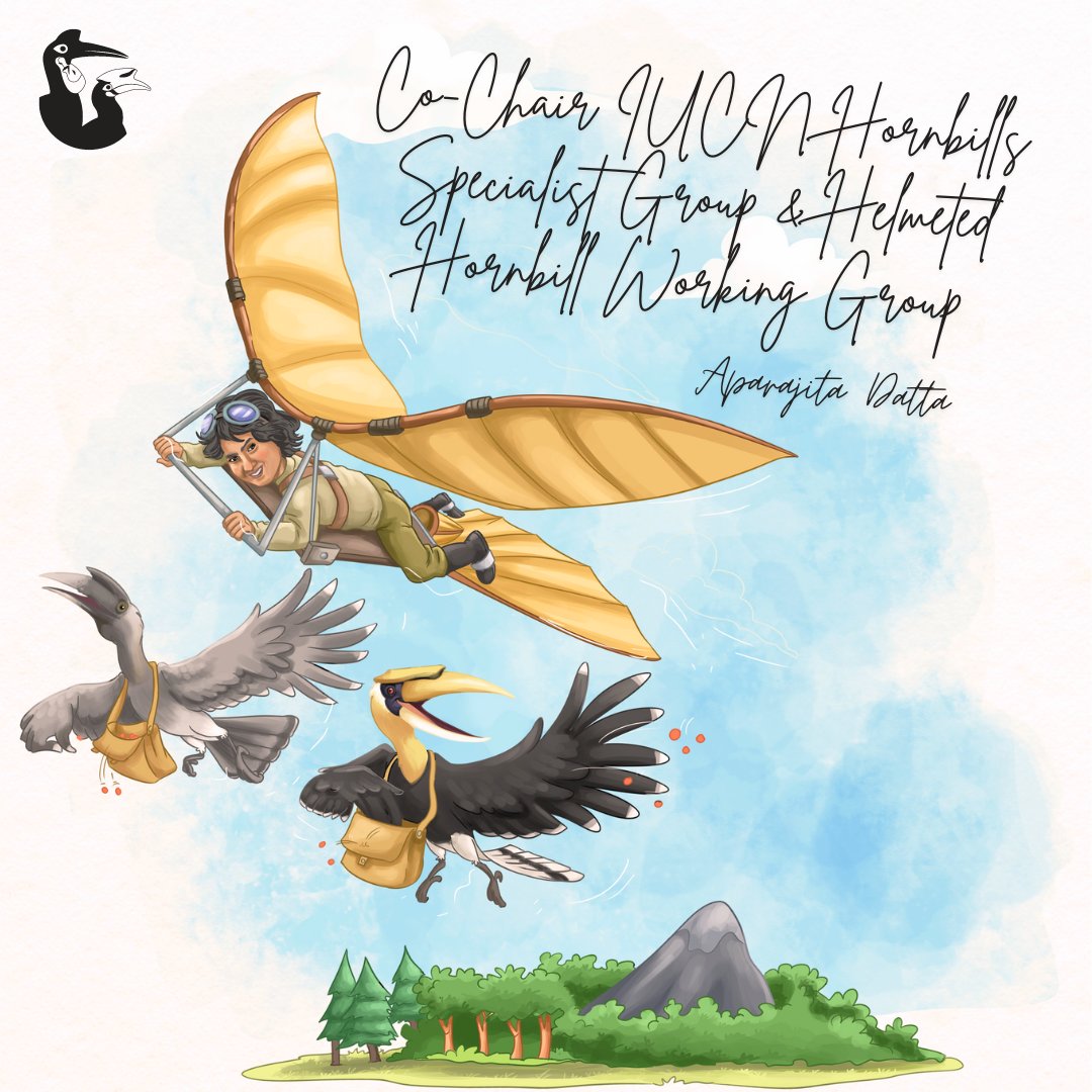 Meet @AparajitaDatta4 👋🏻, a wildlife biologist dedicated to protecting hornbills and the forests they help thrive. Aparajita's research involves collaborating with local communities to safeguard these birds and the ecosystems they support.