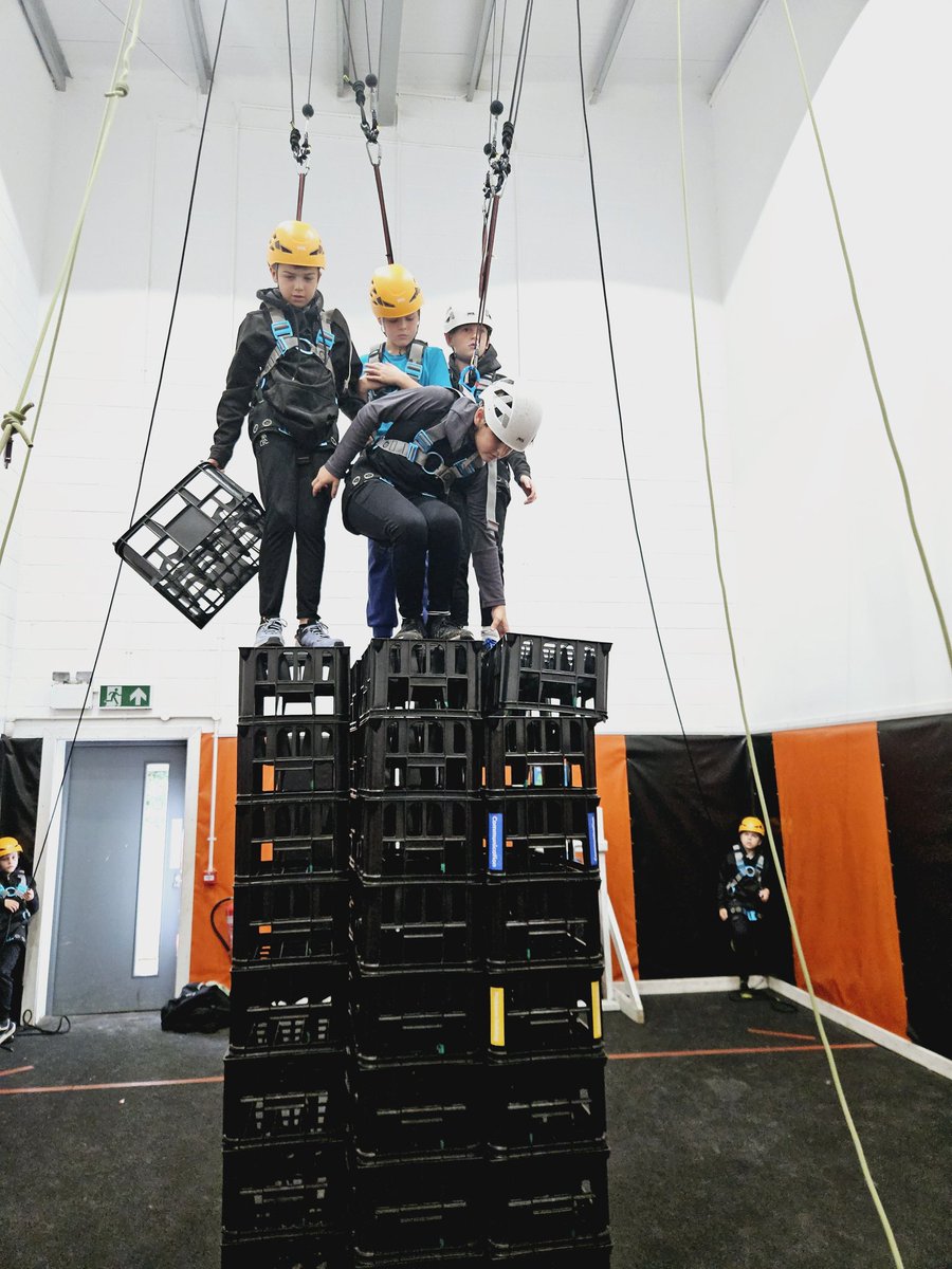 Year 6 TSP tweet media