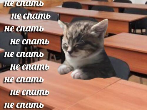 новолуние tweet media