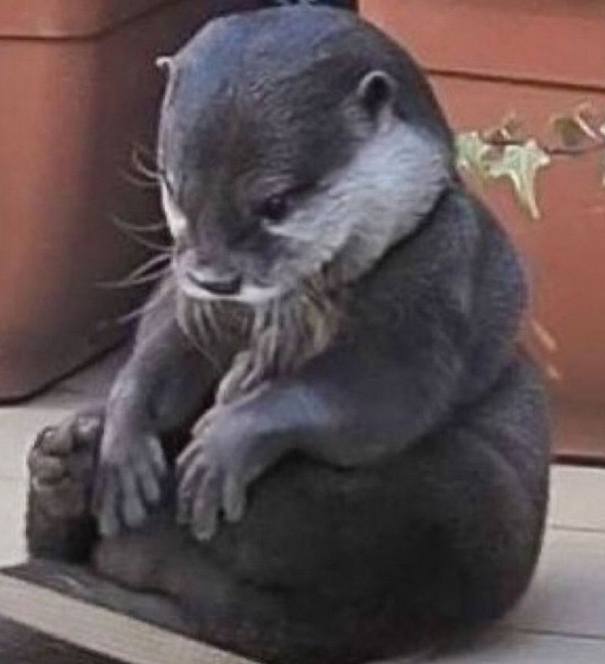 Viernes, pero a que costo?