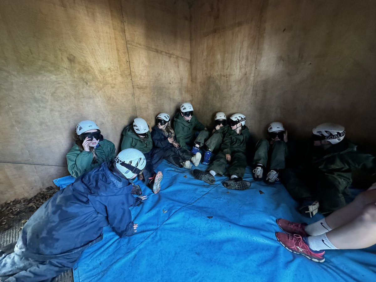 Year 6 TSP tweet media