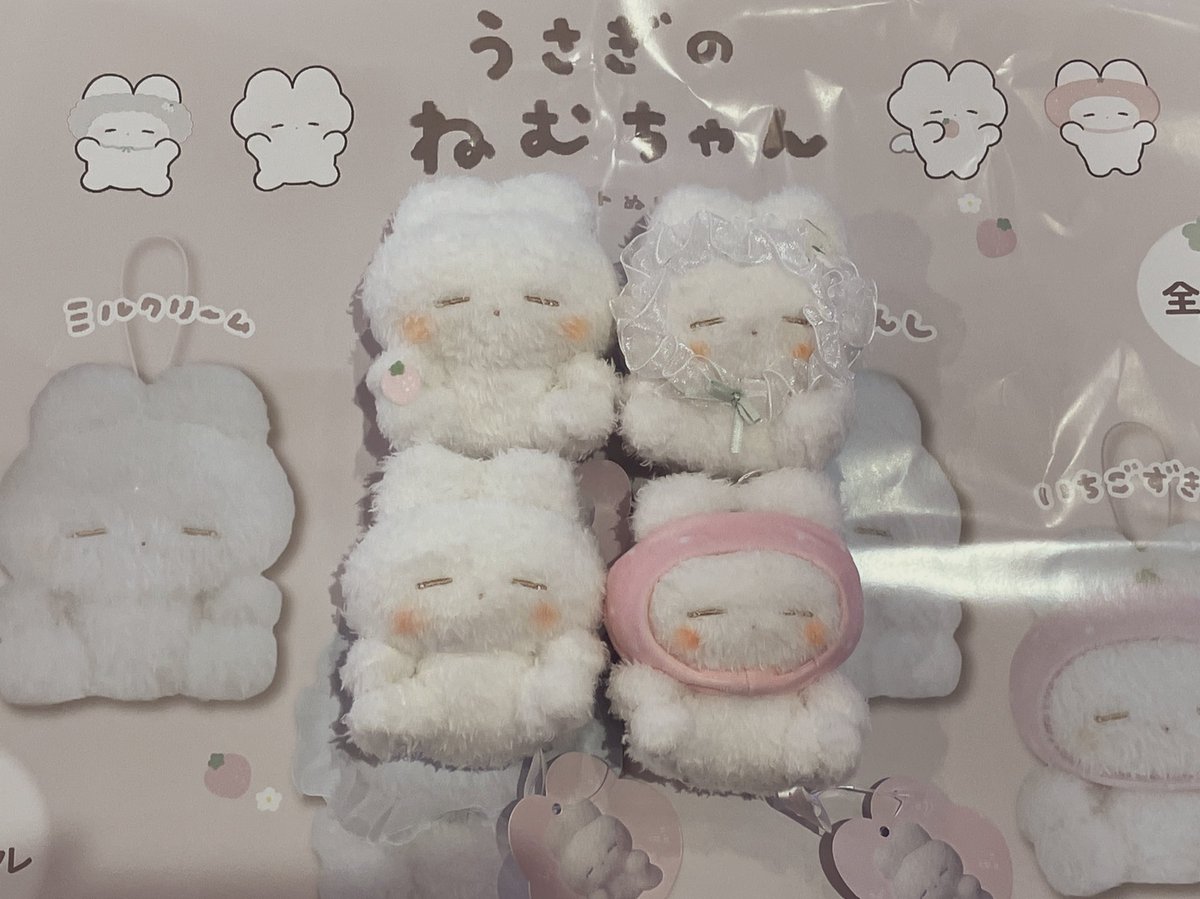 うさぎのねむちゃんと絵本セット カドスト限定 カドスト うさぎのねむ