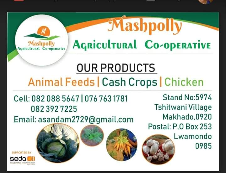 ewdseebc's tweet photo. 🌿Meet Khathu Zeldah Mathivha, founder of Mashpolly Agri Business in Limpopo! With a 3.5-hectare farm, she’s empowering her community with easy access to seeds, fertilizers, and tools. This #HeritageMonth, Khathu encourages us to embrace healthy, homegrown food.💪🏽🌾#BuyFromWomen https://t.co/tZRB4EzfHy