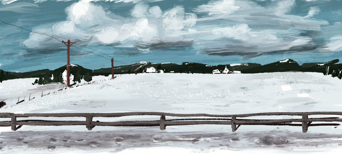 Norkan⭐️ tweet media