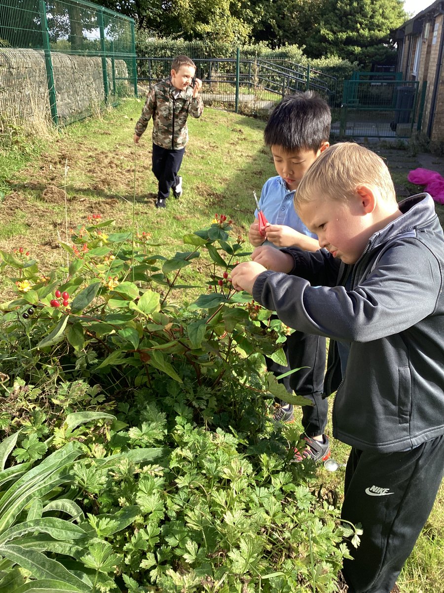These children created nature potions today in the P2/1 garden.