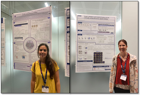 ViroSchindler's tweet photo. 🥳Natalia and Johanna representing our team at the HCV-Flavi conference this year. They are presenting their research on a small compound called C10 - a broadly acting #flavivirus inhibitor. https://t.co/KpJgSL3jAj
