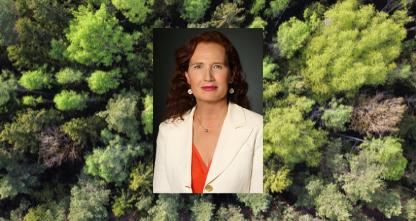 DigiMedFor (@digimedfor) on Twitter photo 🌳 Meet <a href="/PEFCSpain/">PEFC España</a>! As part of #DigiMedFor, PEFC Spain is modernizing Mediterranean forest supply chains by integrating data on ecosystem services like biodiversity & CO2 absorption, driving transparency & sustainability. 🌍 #Sustainability #ForestryInnovation #SFM 🌳 Meet <a href="/PEFCSpain/">PEFC España</a>! As part of #DigiMedFor, PEFC Spain is modernizing Mediterranean forest supply chains by integrating data on ecosystem services like biodiversity & CO2 absorption, driving transparency & sustainability. 🌍 #Sustainability #ForestryInnovation #SFM