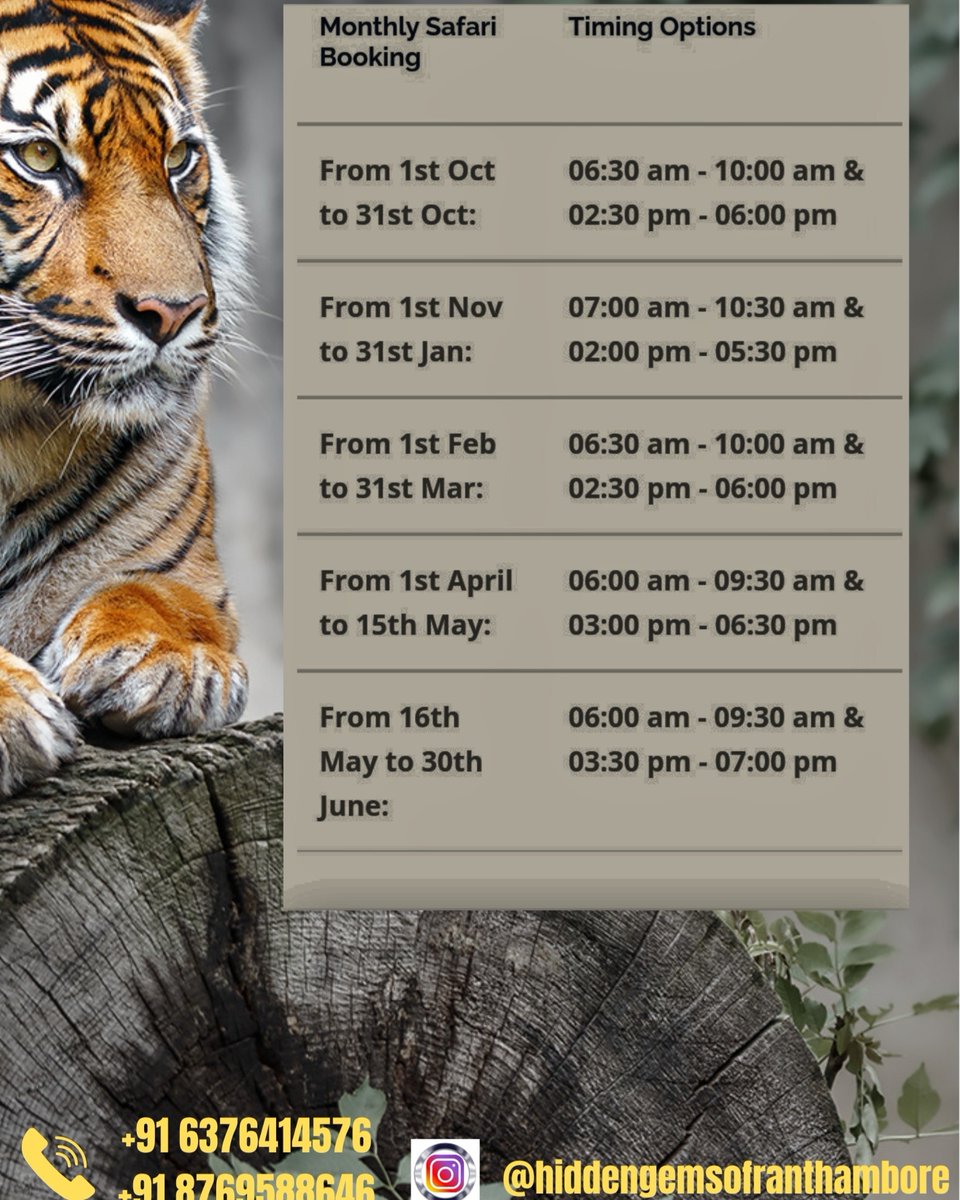 SanskarTinker's tweet photo. DM FOR SAFARI BOOKING https://t.co/37LpdCKh7M