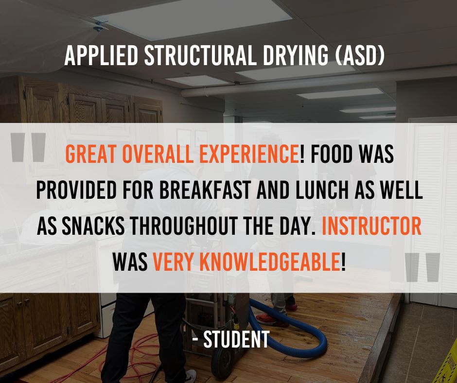 We're grateful for the feedback from our recent participants. Their reflections help us improve and ensure our training meets the needs of industry professionals. 🌱

#Lever360 #StudentFeedback #TrainingInsights #iRestore #RTI