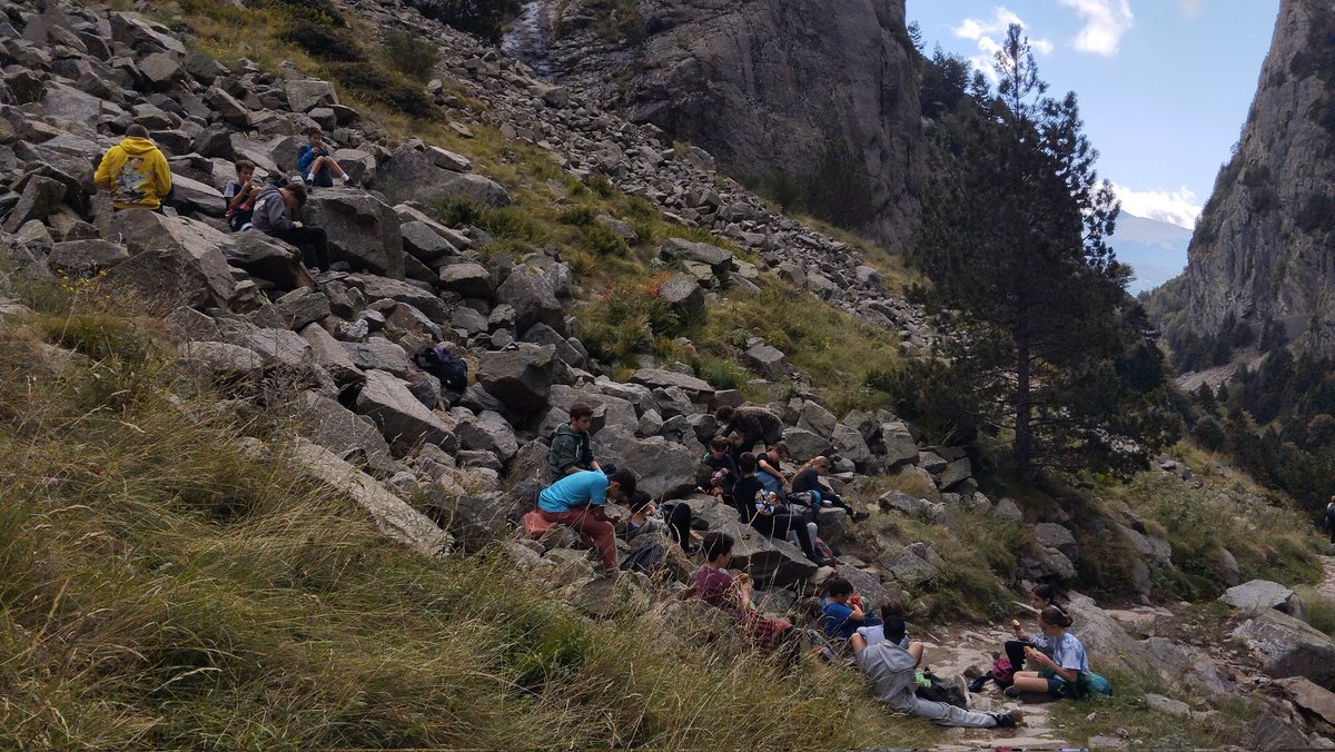 Montse Pujolàs tweet media