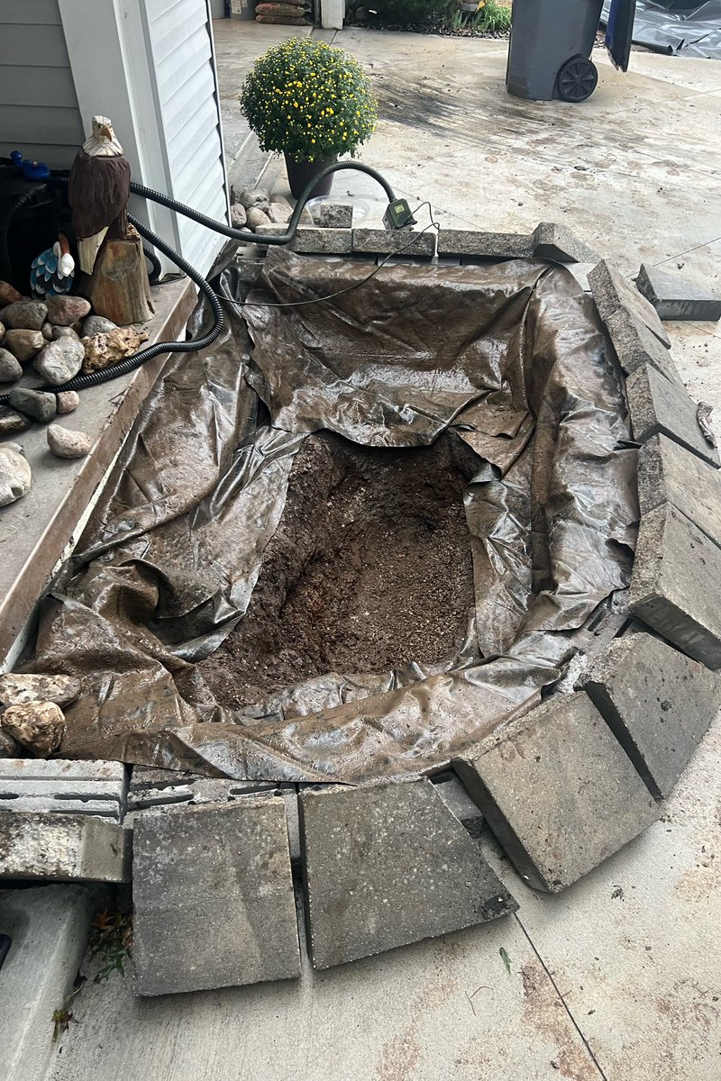 Newson242's tweet image. Replaced #fishpond #liner #2024 #myproject