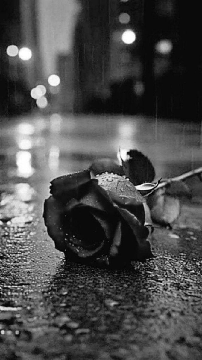 #بوح_الخاطر

#رساله_اليوم

إذا ما تفهم الشعور لا تقلّل منه ....

🍂🍂