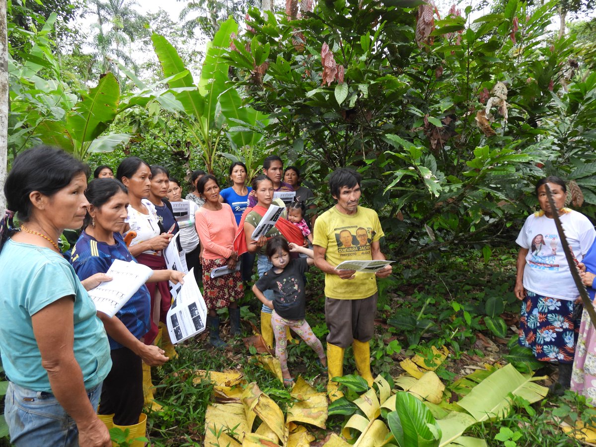 TNCEcuador's tweet photo. Junto a @REMEcuador y en coordinación @Ambiente_Ec y #PAKKIRU reafirmamos nuestro compromiso con la conservación del Ahuano y el Cedro. Capacitamos a 4 comunidades kichwas de Copataza en manejo de viveros, cacao y achiote, conocimiento ancestral, y equidad de género y familia. 🌱 https://t.co/8e91wnNmJK