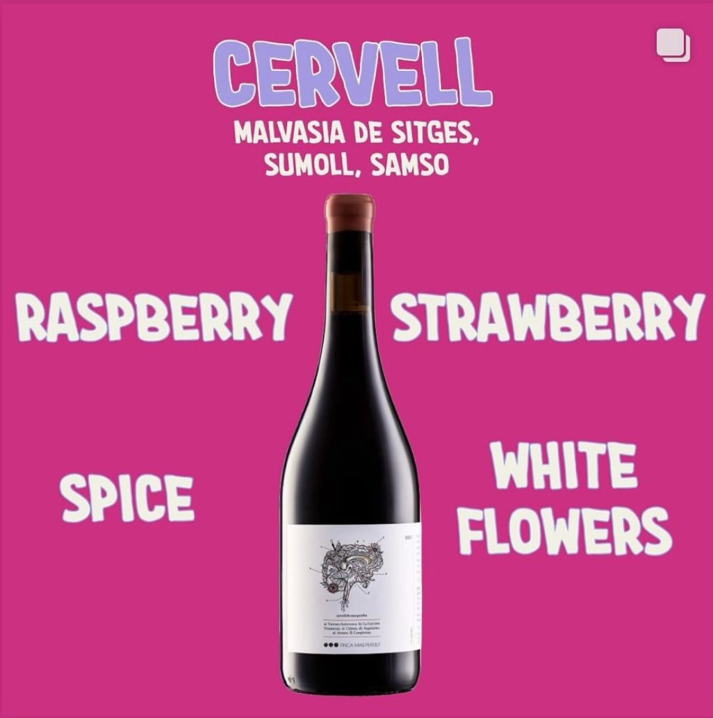 FincaMasPerdut's tweet photo. 🍁Ieep!!  Aqui un parell de vins que us vindran molt bé aquesta tardor🍂🍃 
#santaoliva #vinsambamor #masperdutlifestyle #cervelldemasperdut #endogenegresamso https://t.co/AfCTPxWTR6