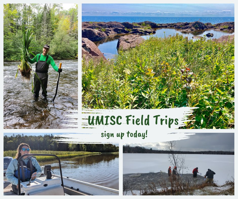 UMISC2024's tweet image. Last Day for UMISC Early Registration - mailchi.mp/umisc/register…