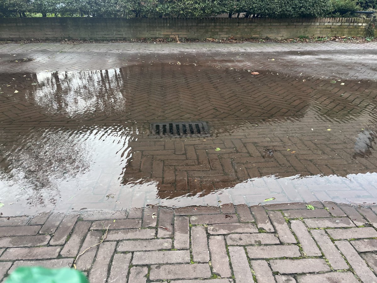 CurfsDesiree's tweet photo. Natte voeten! Water loopt niet weg. Wat te doen ⁦@GemeenteDenHaag⁩? https://t.co/mEyg70qKht