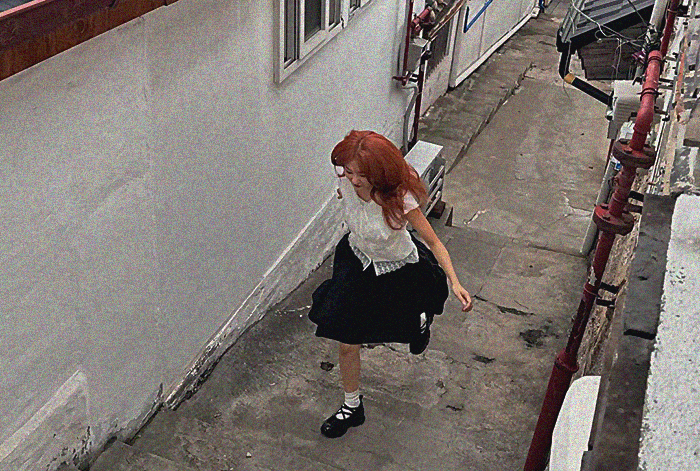 逃走中のクマ。 ʕ｡•ﻌ•｡ʔ