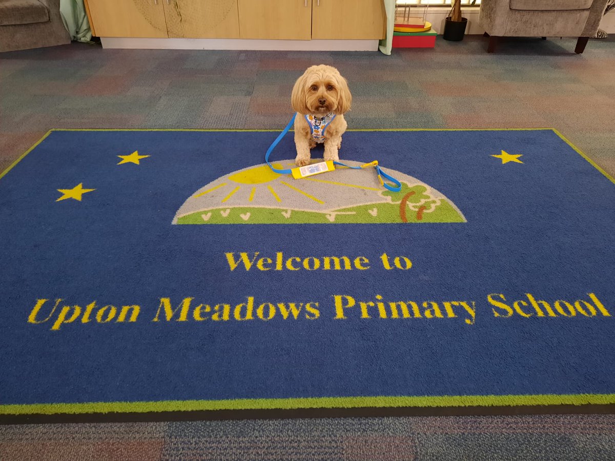 uptonclassRJF's tweet photo. Nellie came to visit some children in KS2 today&amp;listen to them read  📚🐾
The  𝗥𝗲𝗮𝗱𝟮𝗗𝗼𝗴𝘀 𝗦𝗰𝗵𝗲𝗺𝗲 provided by Pets As Therapy  helps to improve literacy skills&amp;wellbeing in young people by developing their confidence, interest&amp;enjoyment in reading.@UptonMeadows https://t.co/Ahp8GdT9yU