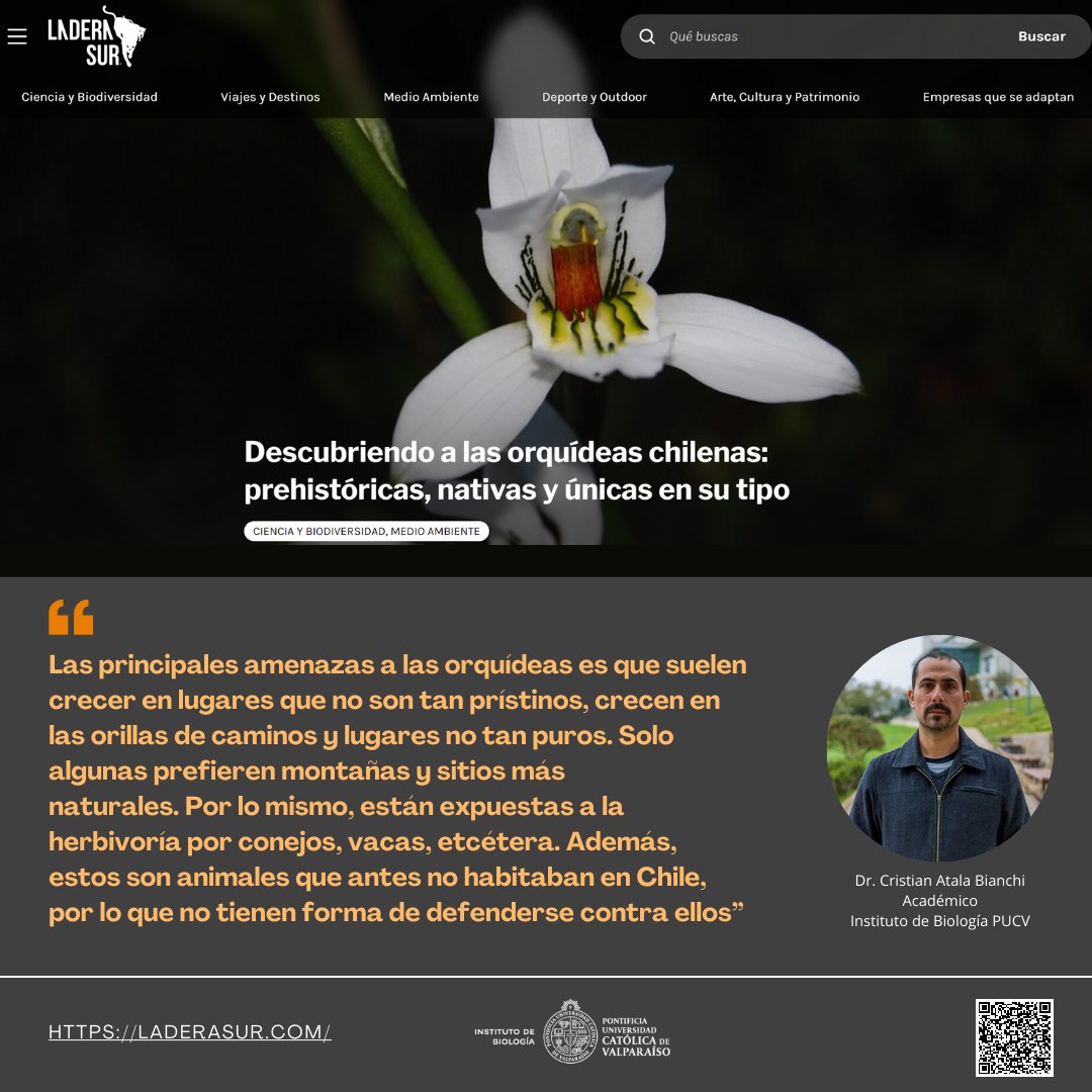 Biologia_PUCV tweet media