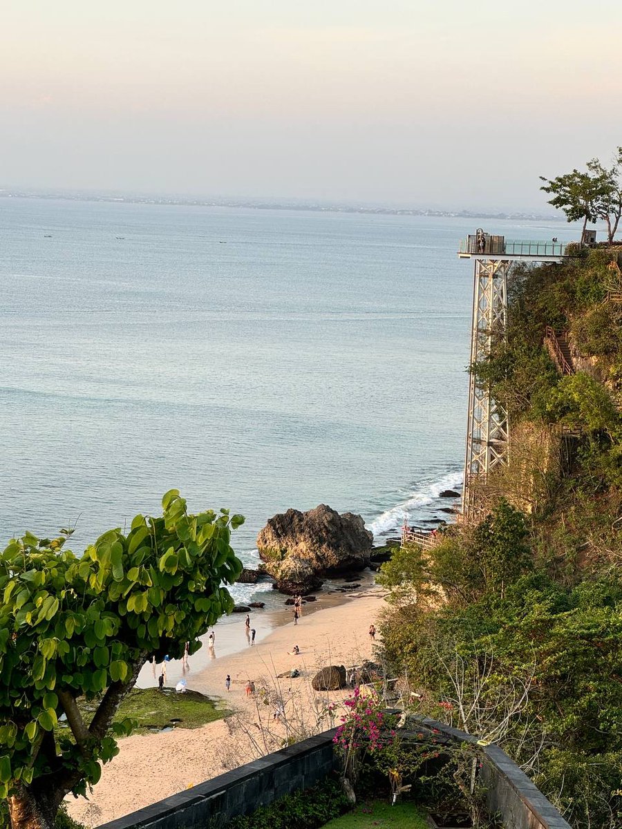 Sui Tropical Week tweet media