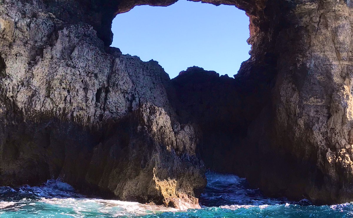 Squidilicious1's tweet photo. Today I didn’t go on a walk but instead a boat ride while on my trip to Malta! We saw many beautiful sites on the Blue Lagoon including a wonderful natural window found in a small cave! I wonder if there were any ruffians in the crew as they were selling BAUgettes #FWMCMorning https://t.co/WAA1WT2Wem