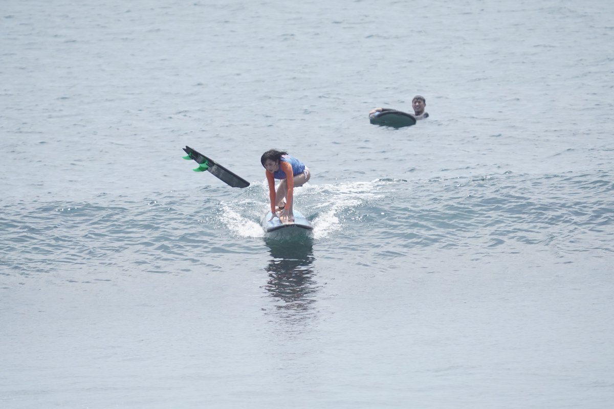 Sui Tropical Week tweet media