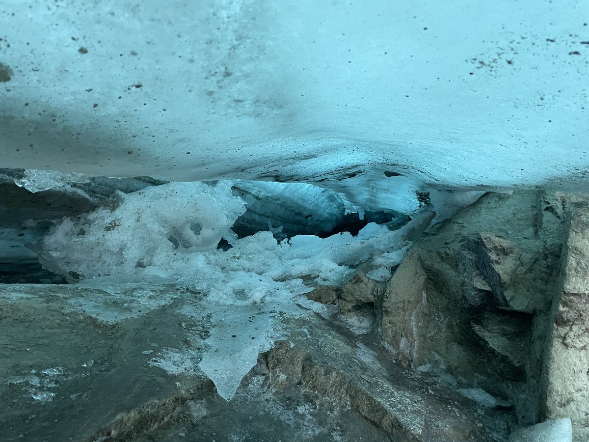 Lander Van Tricht tweet media