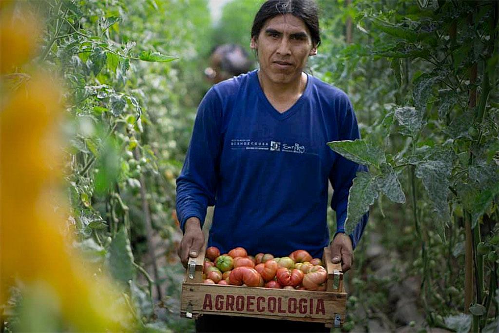 BiodiversidadLa's tweet photo. 🇦🇷🧑‍🌾🍅🐖 Alimentos agroecológicos, producidos y certificados por quienes meten las manos en la tierra @uttnacional @MNCI_ST @MesaAgroArg @Tierra_Viva_ 
📲 https://t.co/qCtHG3WpiO https://t.co/dISUB72gSO