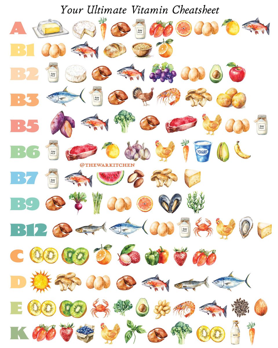 TheWarKitchen's tweet photo. It's about time we re-taught the food pyramid 🔺

P.S what changes should we make for the print version? https://t.co/HfVaGU31VC