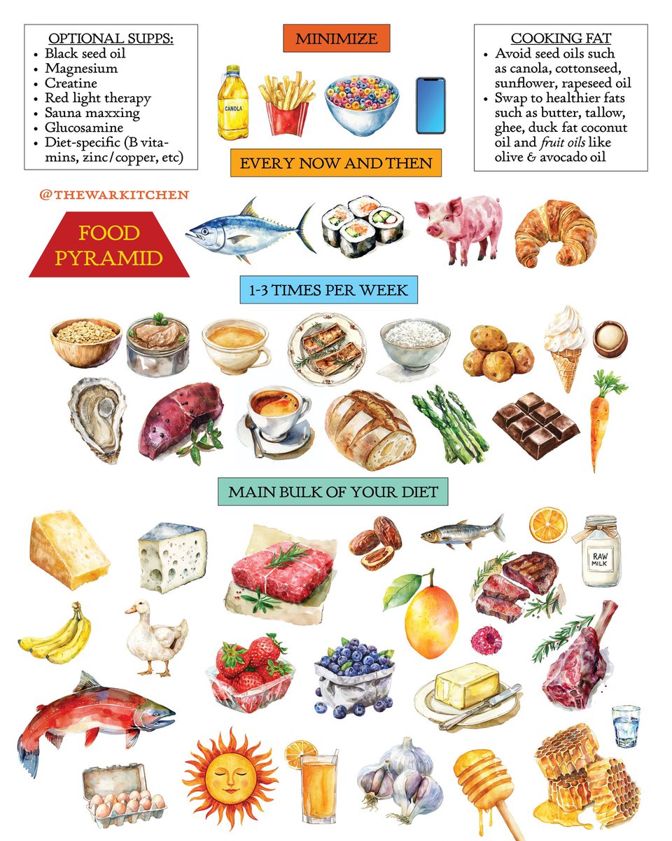 TheWarKitchen's tweet photo. It's about time we re-taught the food pyramid 🔺

P.S what changes should we make for the print version? https://t.co/HfVaGU31VC