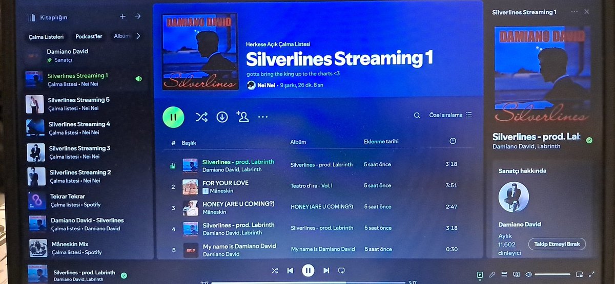 portamiabailar's tweet image. #Silverlines 🖤