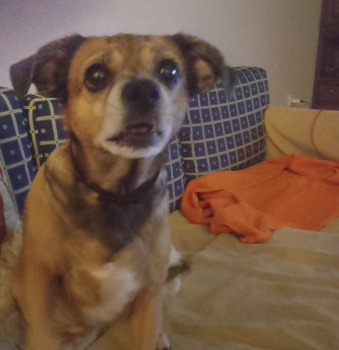 𝓜𝓞𝓞𝓝𝓦𝓞𝓛𝓕 tweet media